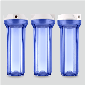 Coc loc tho trong suot 10 inch